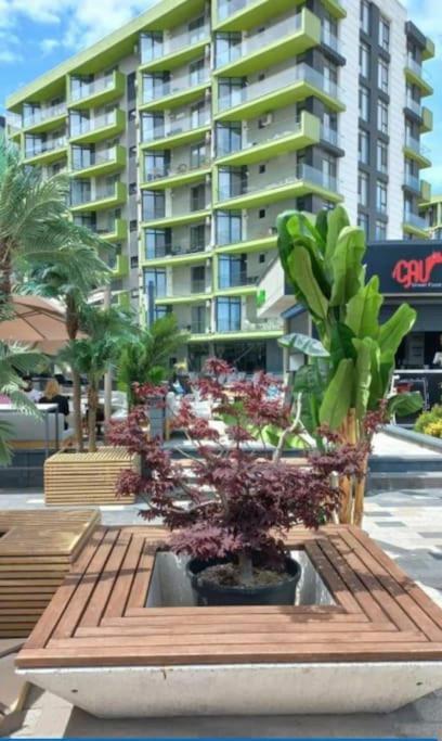 Alezzy Reasort Luxury Apartment 81 Prima Linie La Mare Năvodari Zewnętrze zdjęcie